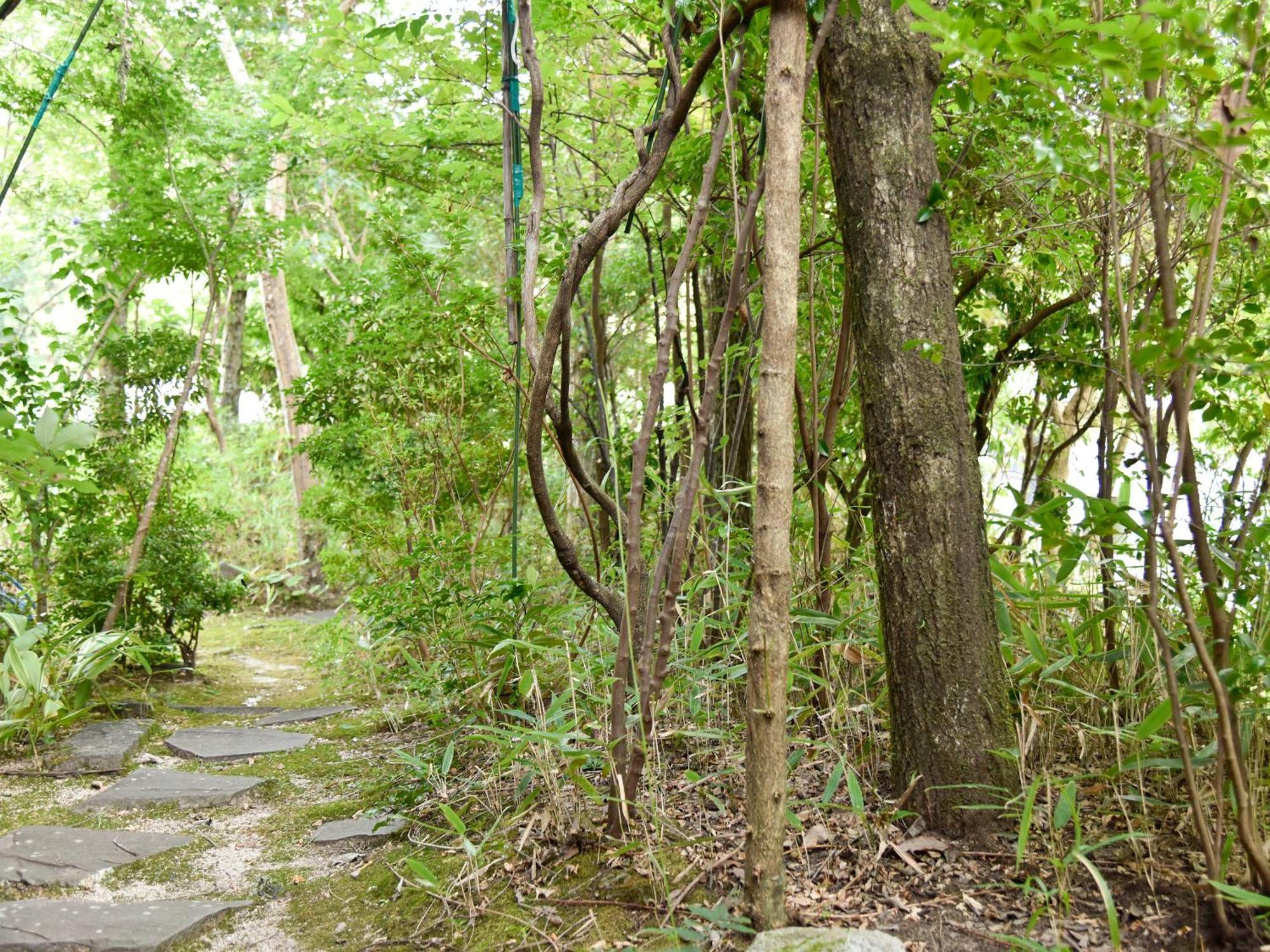 Oyado Yumechidori Hotel Saga Buitenkant foto